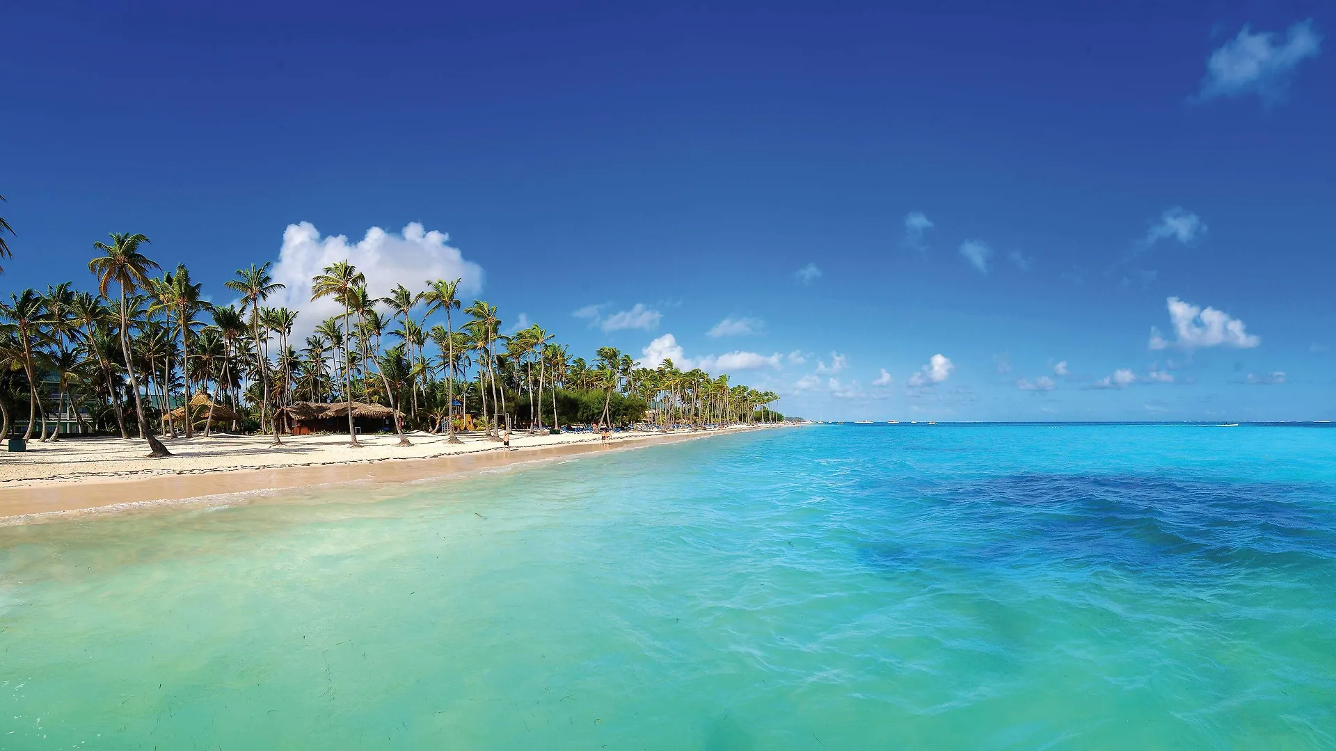 Barcelo Bavaro Beach (Adults Only) Пунта-Кана 5*,  Доминиканская Республика
