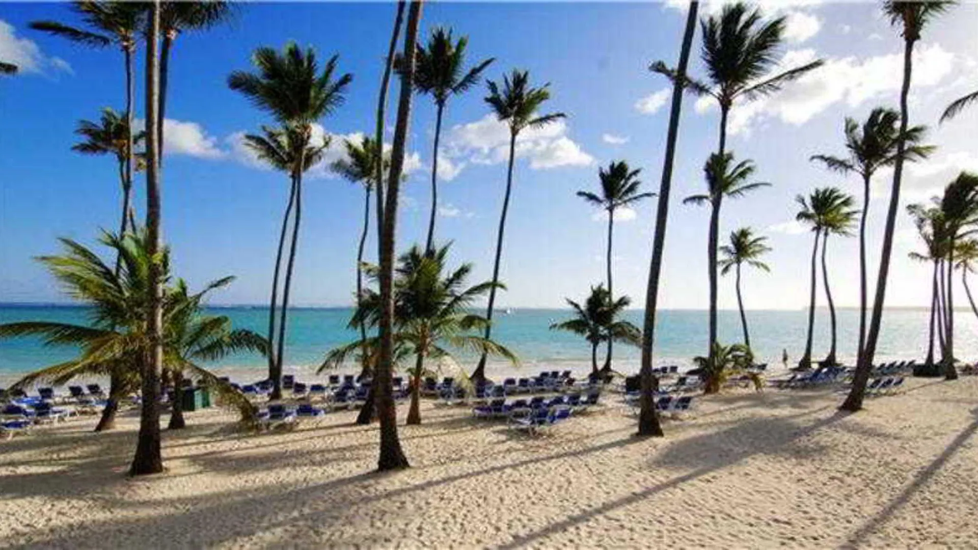 Resort Barcelo Bavaro Beach (Adults Only) Punta Cana